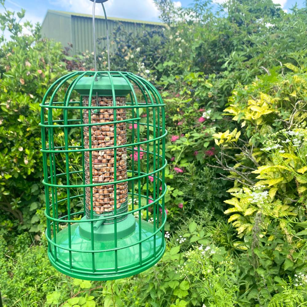 Guardian Peanut Feeder